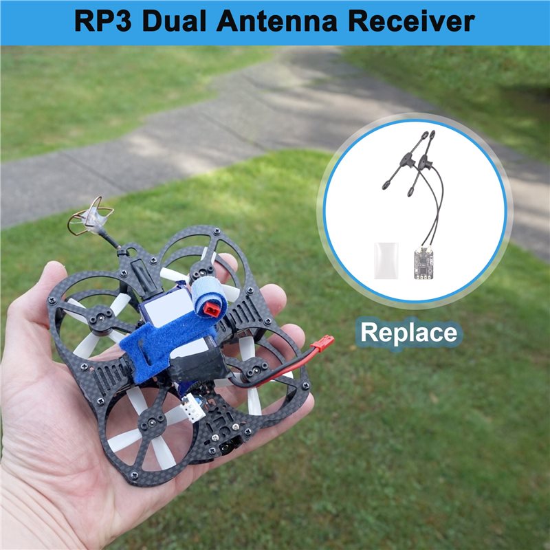 BEDW-RP3 Dual Antenna Receiver - Antenna 2.4Ghz 评论和价格